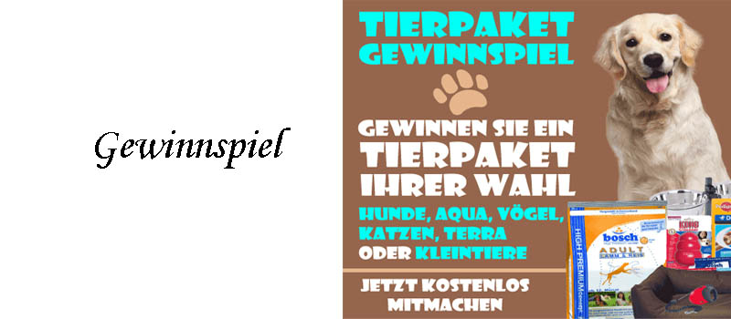 Gratis Gewinnspiel
